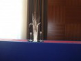 /album/kongres-navy-usa-vyzdoba-hotel-sheraton-16-11-2013-bratislava/a043-kopia-jpg/